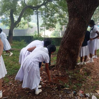 Whatsapp Image 2025 02 15 At 9.03.18 Pm