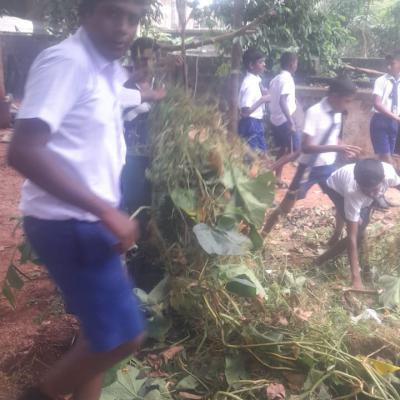 Whatsapp Image 2025 02 15 At 9.13.44 Pm